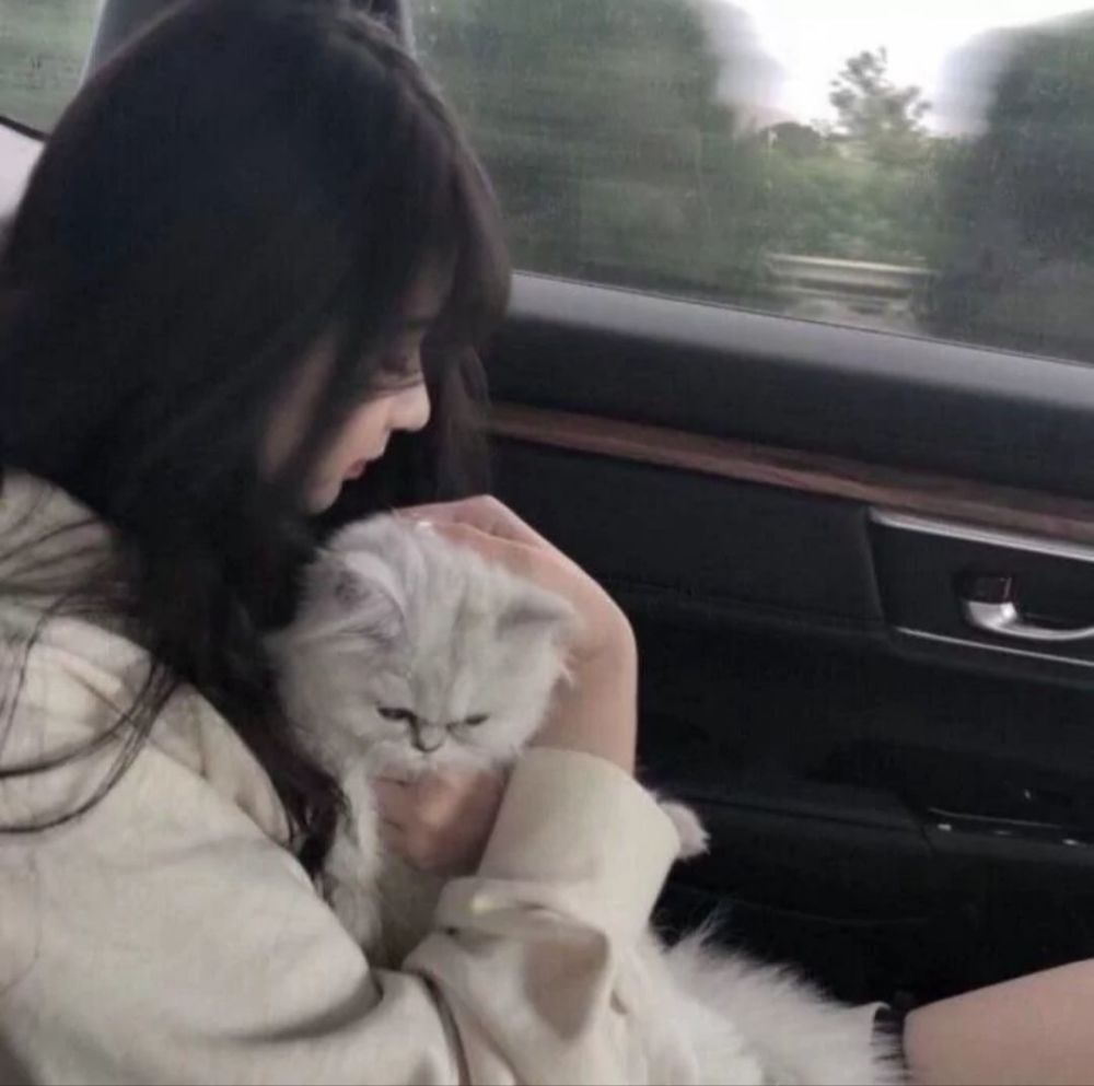 精选优质温柔小众好看的女生头像47