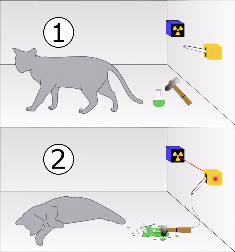 薛定諤的貓為何至今無解意識導致波函數坍縮什麼是退相干歷史