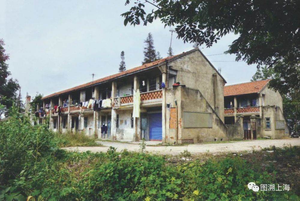 图说奉贤地名五四农场