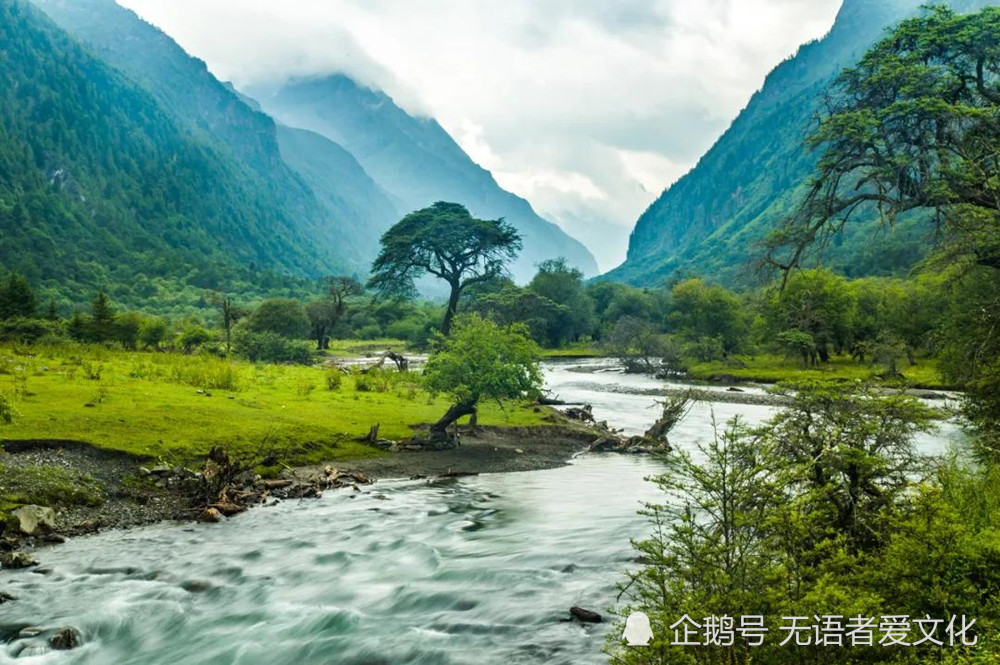 诗词欣赏:辛弃疾在《浣溪沙·父老争言雨水匀》词中,描写了风调雨顺给