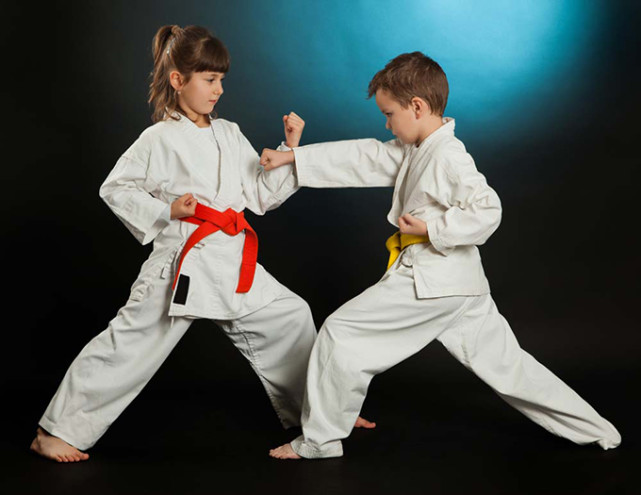 世界上最具代表的武术种类你觉得哪个更厉害