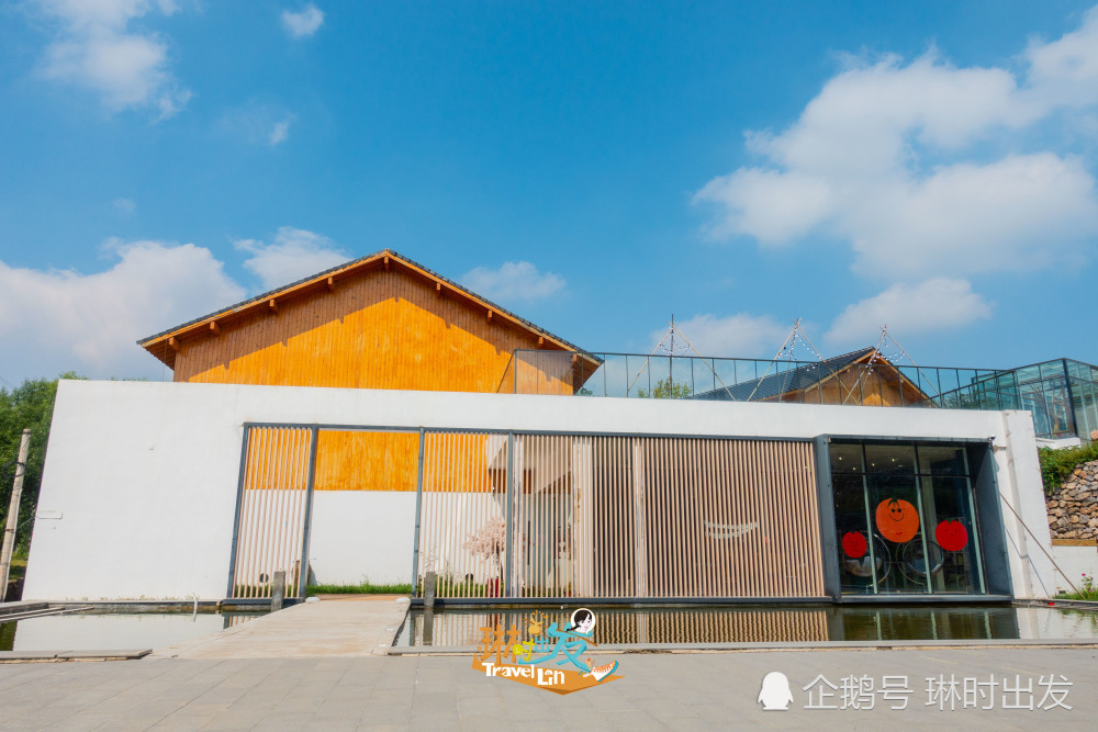 不去日本也能看猫岛啦大吉祥村猫公馆