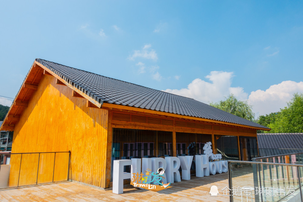 不去日本也能看猫岛啦大吉祥村猫公馆