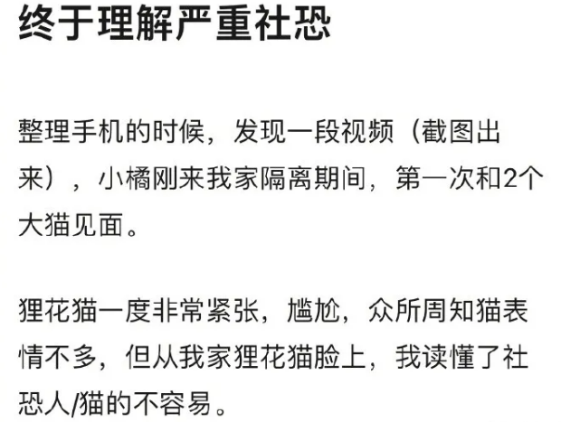 猫猫:老社恐了.