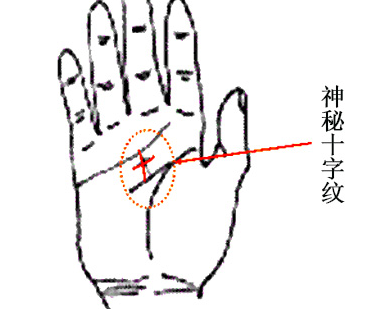 所罗门环食指下方有所罗门环为人多数具有洞悉他人的天性与分析事务的