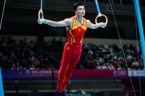 全运会吊环王强势夺金奥运老将高低杠折桂