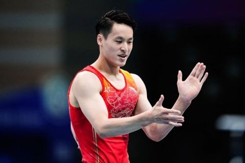 全运会吊环王强势夺金奥运老将高低杠折桂