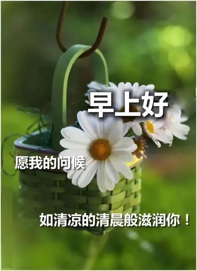 清晨群发早安问候语表情图片,漂亮早上好问候语表情图片