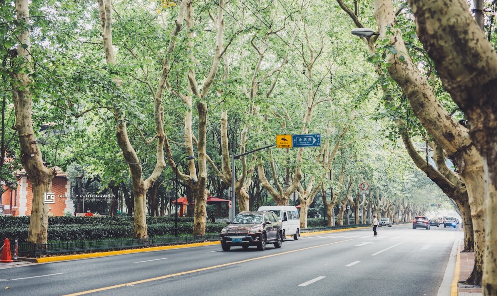 上海的香榭丽舍大街曾与南京东路齐名经历萧条后如今再度翻红