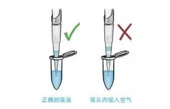 谁看到我的移液器了!_腾讯新闻