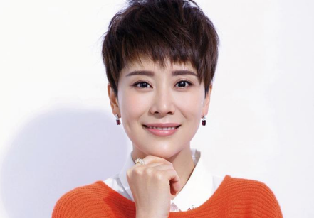 演员海清个人资料简介演艺经历图片