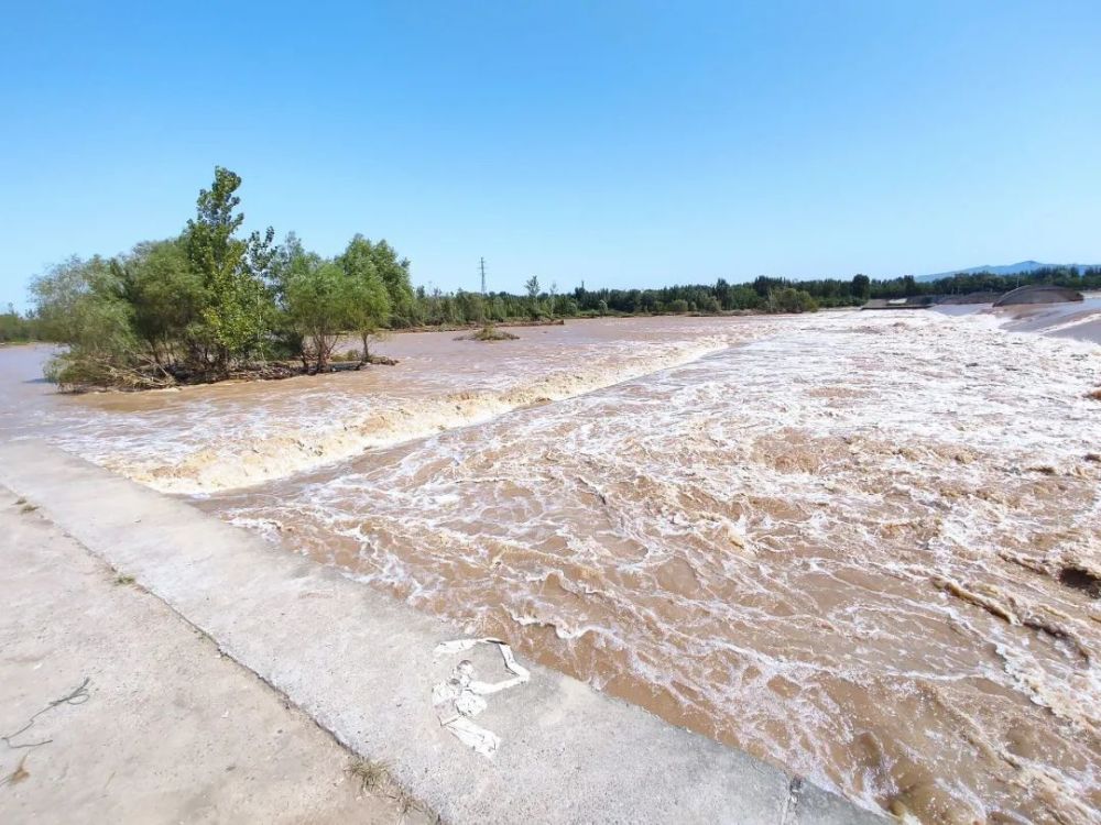 洛阳伊河好钓点雨中希望桥下很多钓鱼人起得早才能钓得多