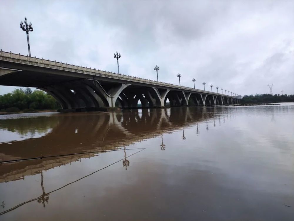 洛阳伊河好钓点雨中希望桥下很多钓鱼人起得早才能钓得多