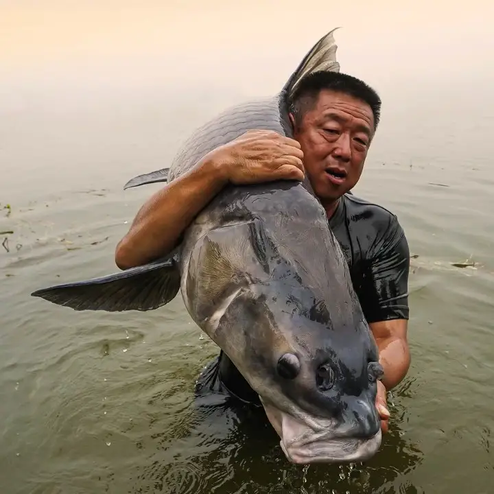 全网最火钓鱼人排行榜谁是你最喜欢的钓鱼人