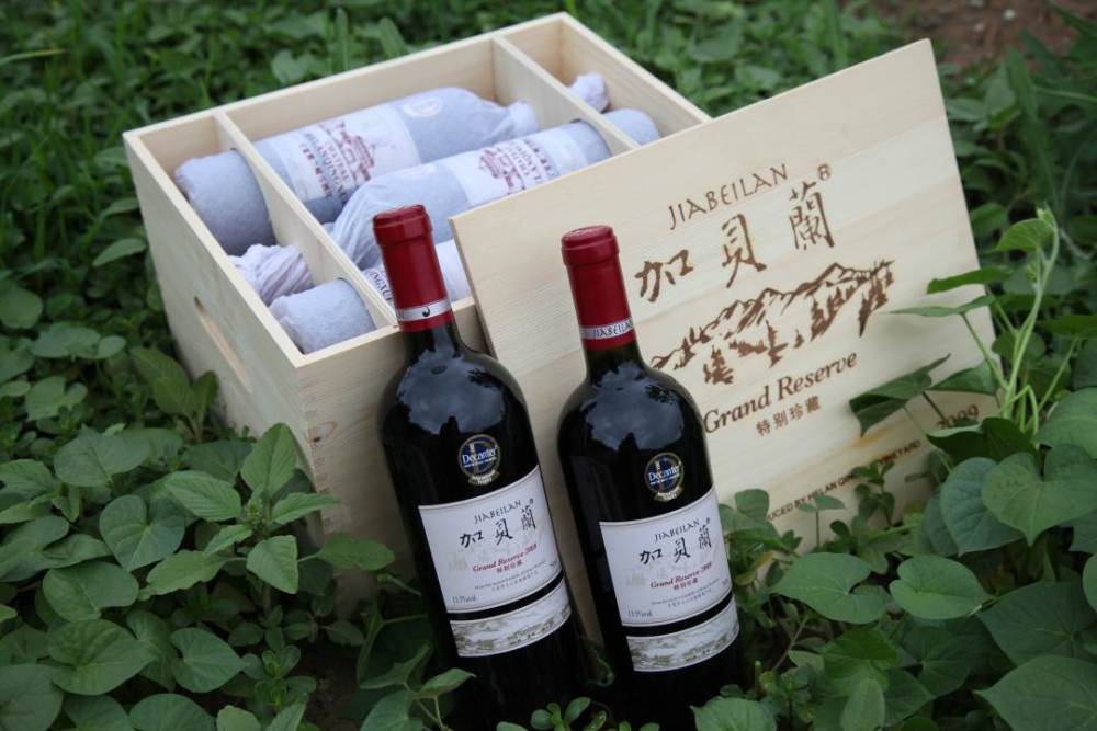 贺兰晴雪酒庄宁夏葡萄酒从这里走向世界