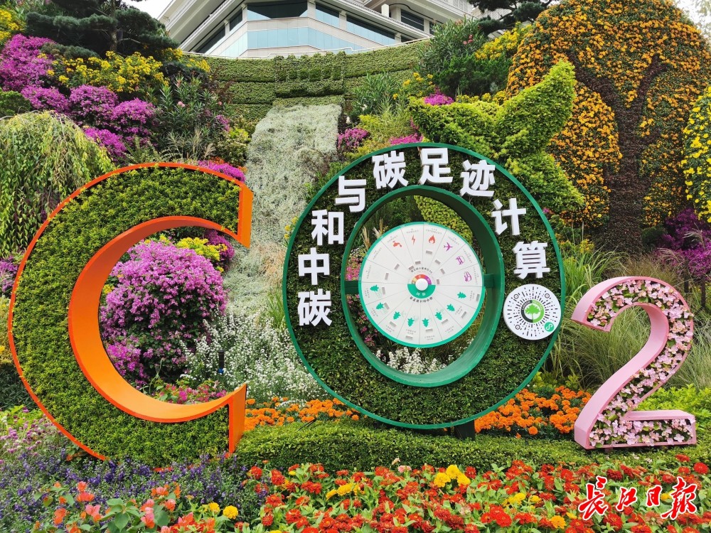 北京国庆花坛总设计师揭秘主题花坛多元花语_腾讯新闻