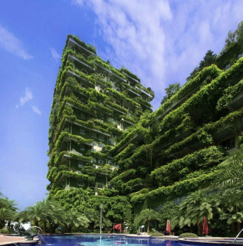 河南省绿色建筑条例草案提请审议建设单位违规最高拟被处罚50万元