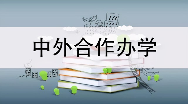 盘点中外合作办学8大实力院校实力强口碑好你中意哪一所