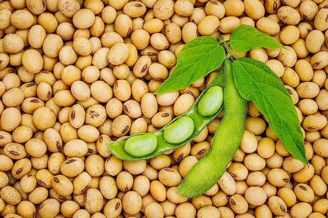 一周健康晚餐104:毛豆的19项健康益处和3个食用注意事项