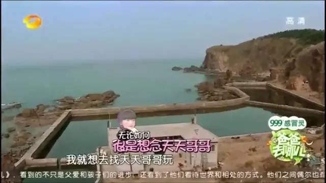 《爸爸去哪儿》开播八年，石头身高直逼郭涛，其他孩子变化巨大