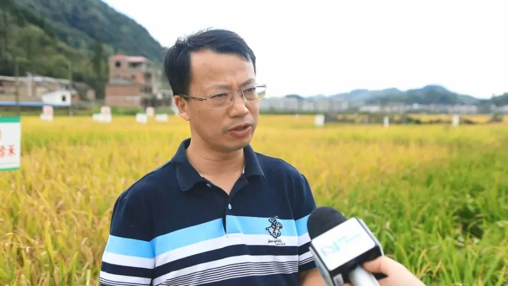 黔南州农业科学研究院副院长 李长贵:我们现在就要培育好适应黔南州的