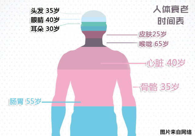 人体器官衰老时间表坚持做这些让身体变年轻