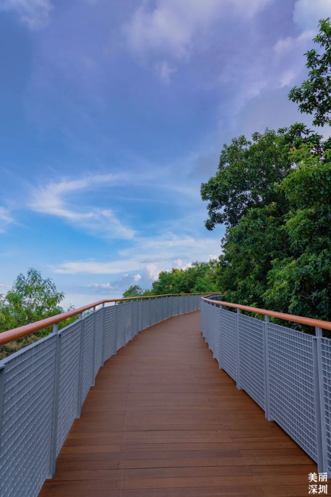 静享属于铁仔山公园日与夜的浪漫