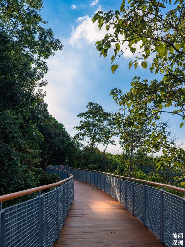 静享属于铁仔山公园日与夜的浪漫