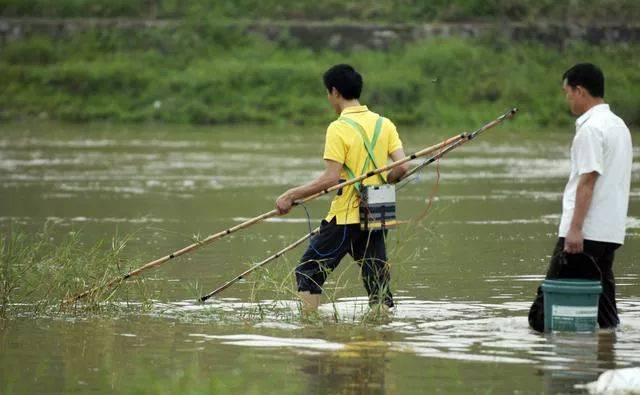 釣魚人瘋狂的報復從此電魚者不敢下河可是此法真的對嗎