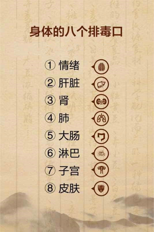 人体的排毒口都有哪些