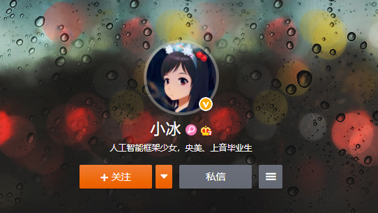 人工智能对话app小冰=人工智能机器人小冰出版诗集