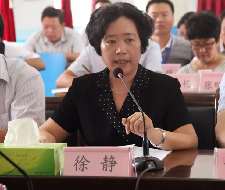校友风采安徽省泗县灵童学校董事长校长徐静