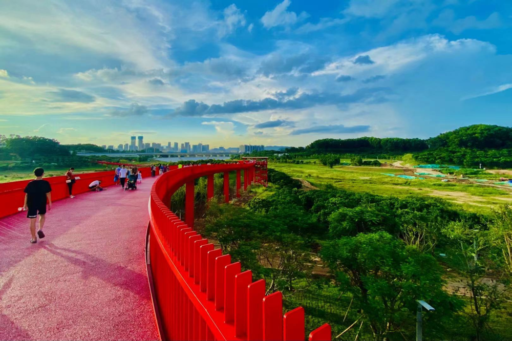 書吧正常開體育場館可預約國慶這樣逛深圳公園