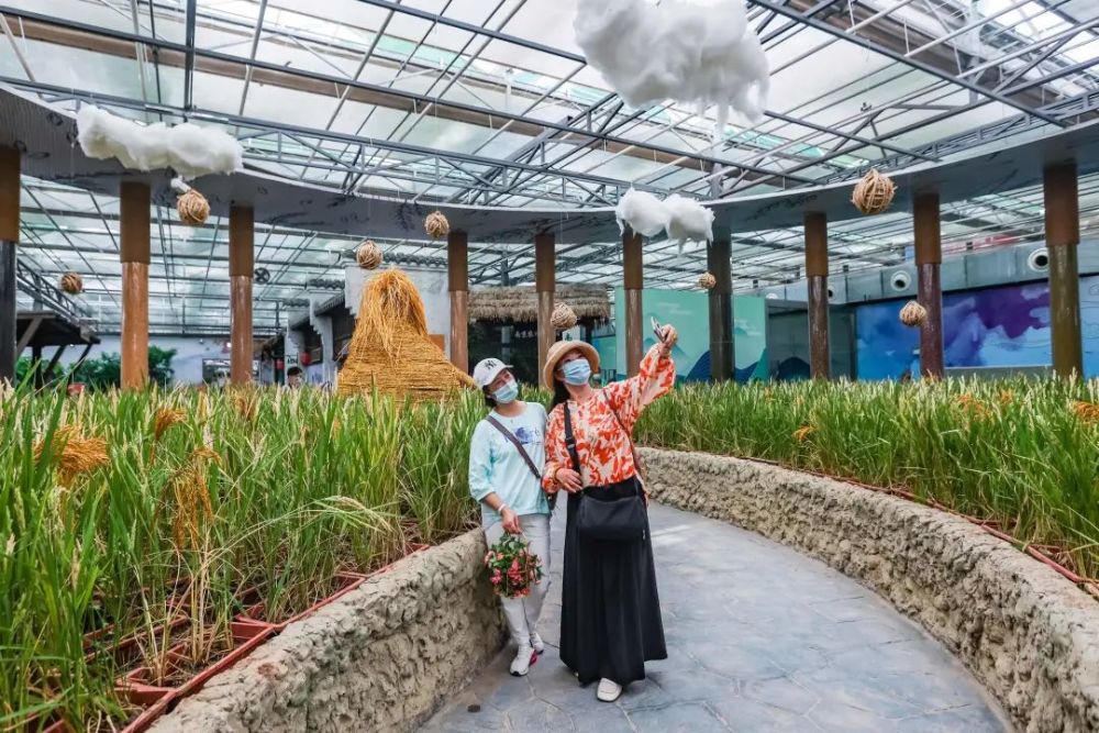 第十七届中国61南京农业嘉年华在栖霞八卦洲陌上花渡隆重开幕