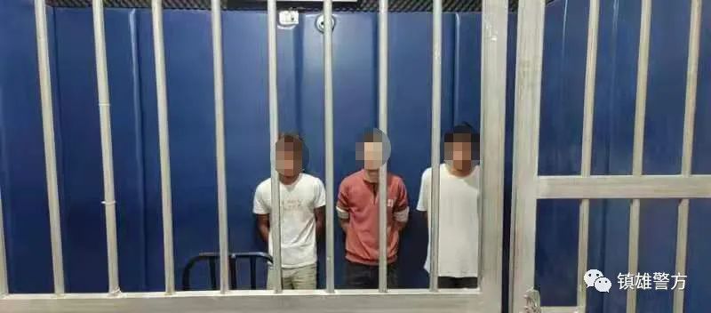 镇雄县各乡镇人口_镇雄一乡镇村民准备挖地基修房,被执法人员当场制止!