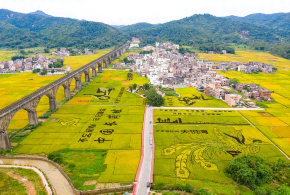 投票近8000万第三届广东十大美丽乡村系列活动网络票选结果出炉