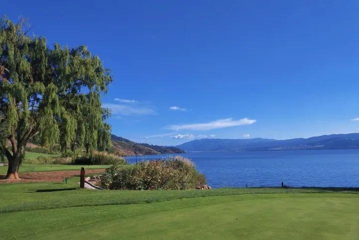 两个娃 一家子 哪里都人多 不知道吃啥 小神兽还要写作业 不要凡尔赛