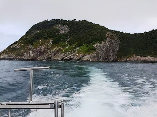 巴西蛇岛每平米1条蛇,岛上毒蛇比陆地同族毒5倍,成为人类禁地