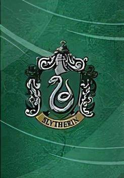 你们都是斯莱特林全世界不会只有我是格兰芬多吧