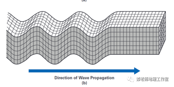 縱波速度快,最先殺到,大地上下運動.