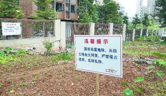 近日,有群众向中央第五生态环境保护督察组反映"北湖国际城3期后面