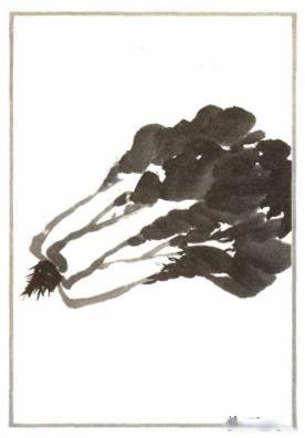 写意蔬果入门画法——白菜辣椒