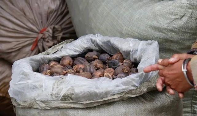 罂粟壳|凉皮|羊肉汤