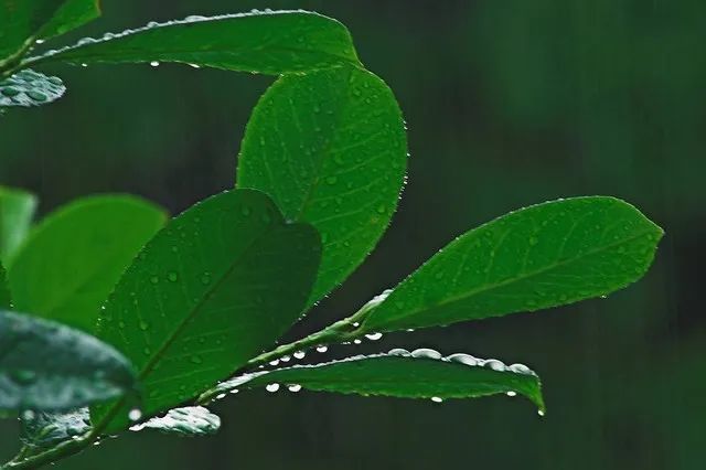 微关注|暴雨黄色预警!