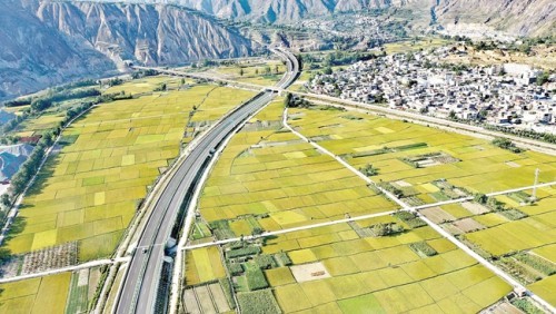 图片新闻武都区角弓镇大力发展特色种植业托起群众致富梦