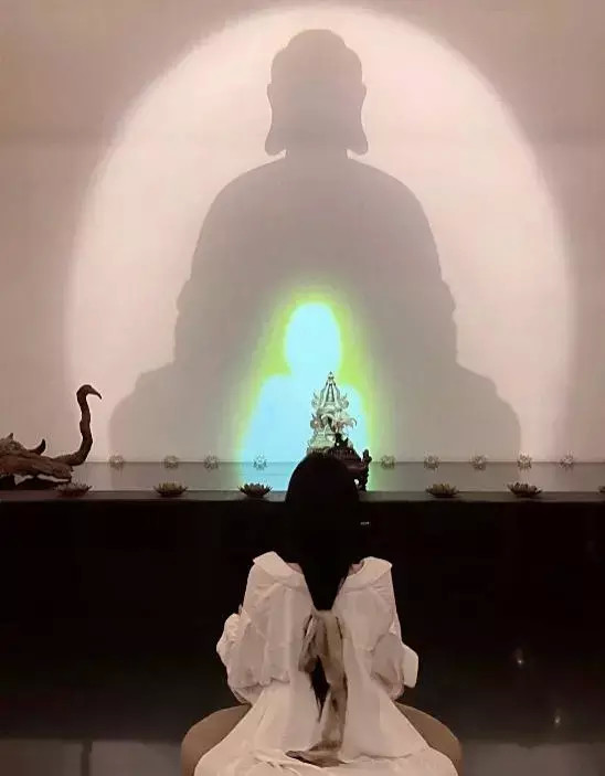 太可恶看似与世无争实则想钱想疯佛媛们早该凉凉