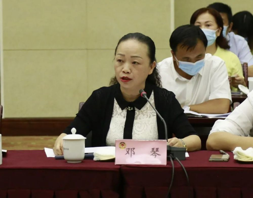 邓琴委员代表民盟贵州省委发言游小兰委员代表民建贵州省委发言刘国凡