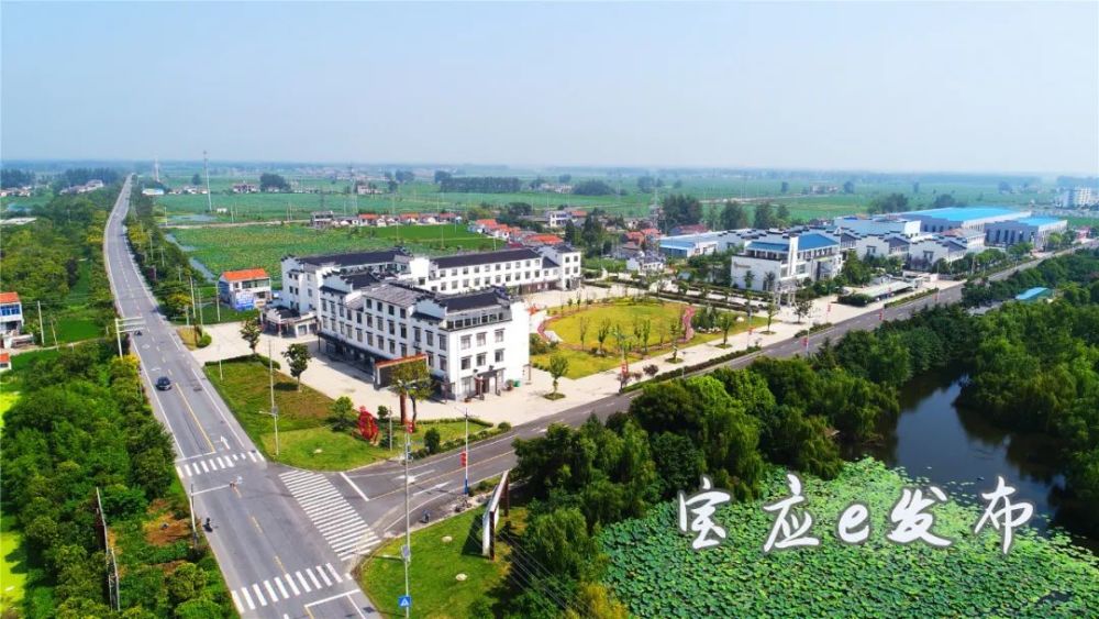 宝应网站建设(宝应建设工程招标网)