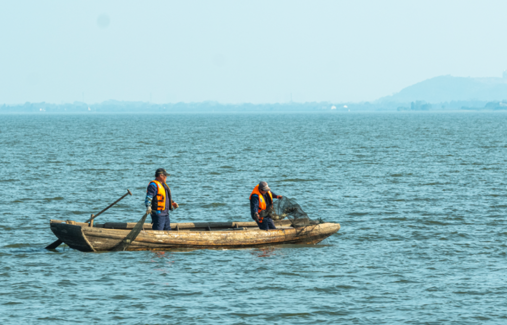外媒看枞阳蟹逅金秋螃蟹丰收白荡湖大闸蟹今日开捕总产量预计在8万斤