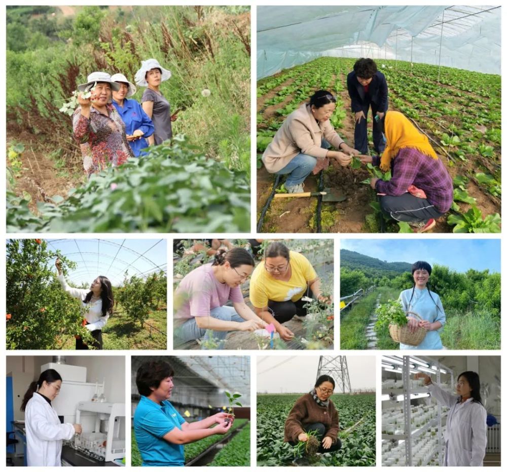 山东省乡村振兴 百名优秀女农人 名单来啦 腾讯新闻